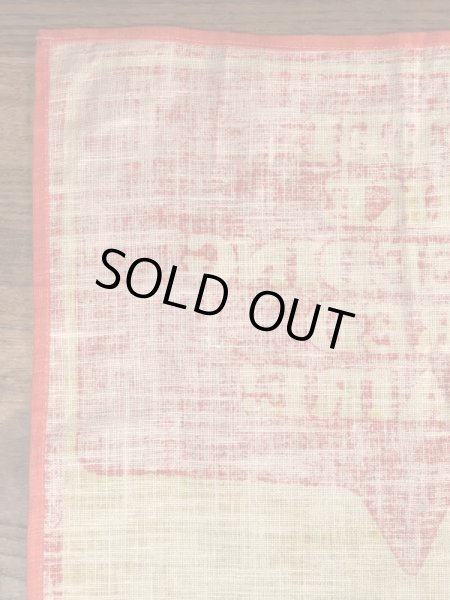 70〜80’sのスヌーピーとチャーリーブラウンのヴィンテージのタペストリー