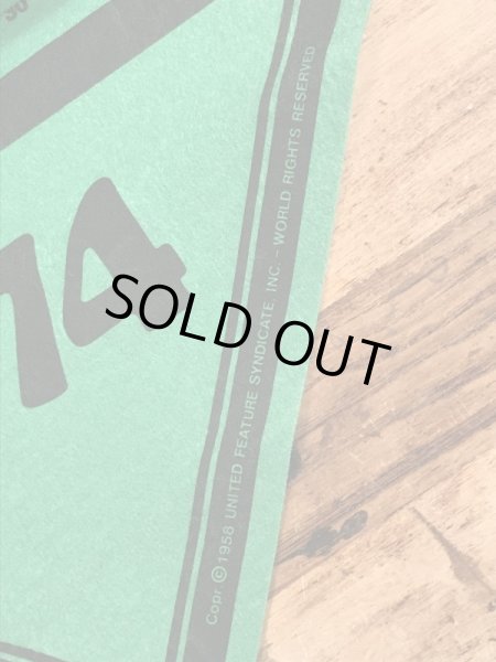 70’sのスヌーピーのヴィンテージのタペストリー