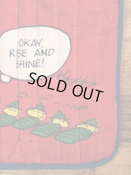 70〜80’sのスヌーピーとウッドストックのヴィンテージの座布団ケース