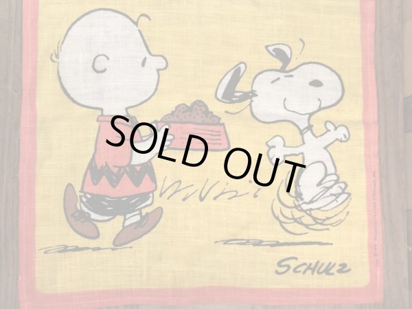 70〜80’sのスヌーピーとチャーリーブラウンのヴィンテージのタペストリー