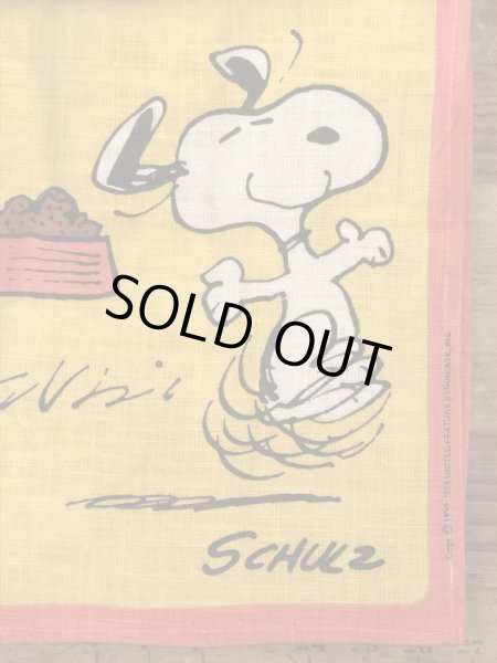 70〜80’sのスヌーピーとチャーリーブラウンのヴィンテージのタペストリー