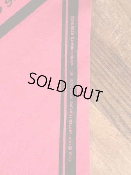 70’sのスヌーピーのチャーリーブラウンのヴィンテージのタペストリー