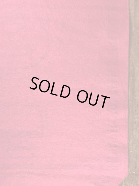 70’sのスヌーピーのチャーリーブラウンのヴィンテージのタペストリー