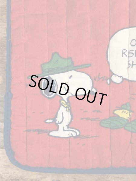 70〜80年代頃のスヌーピーとウッドストックのビンテージのクッションカバー