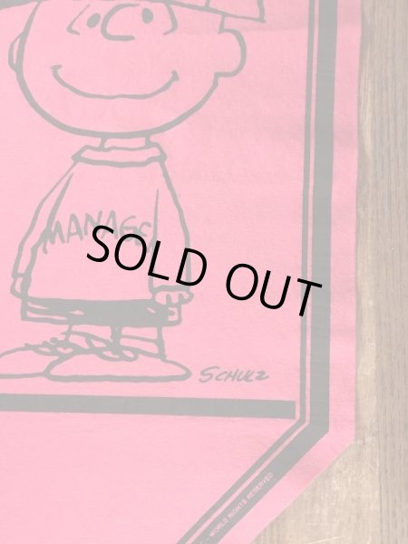 70’sのスヌーピーのチャーリーブラウンのヴィンテージのタペストリー