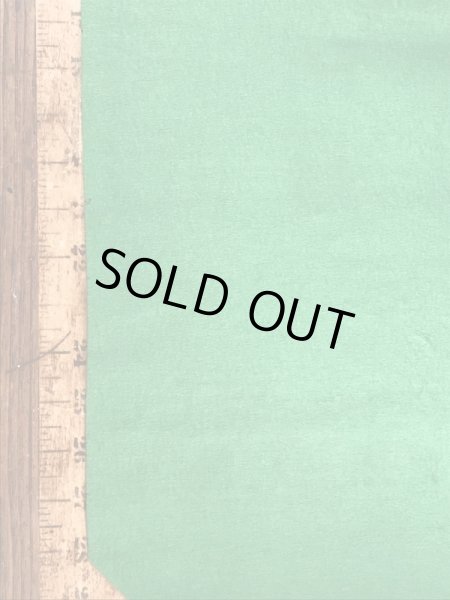 70’sのスヌーピーのヴィンテージのタペストリー