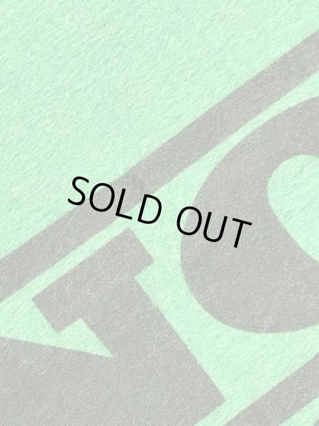 70’sのスヌーピーのヴィンテージのタペストリー