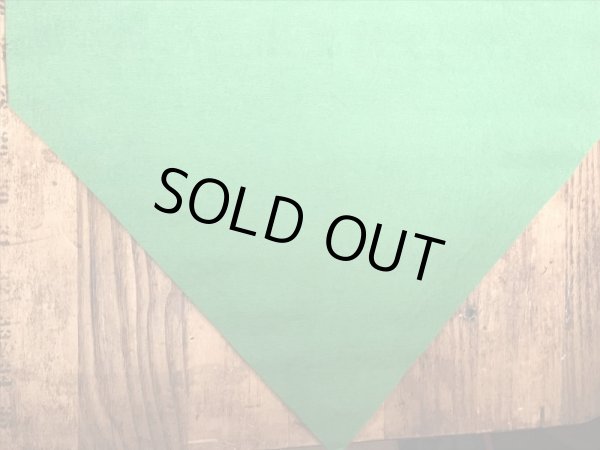 70’sのスヌーピーのヴィンテージのタペストリー