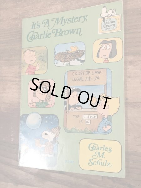 70’sのスヌーピーのヴィンテージのピクチャーブック