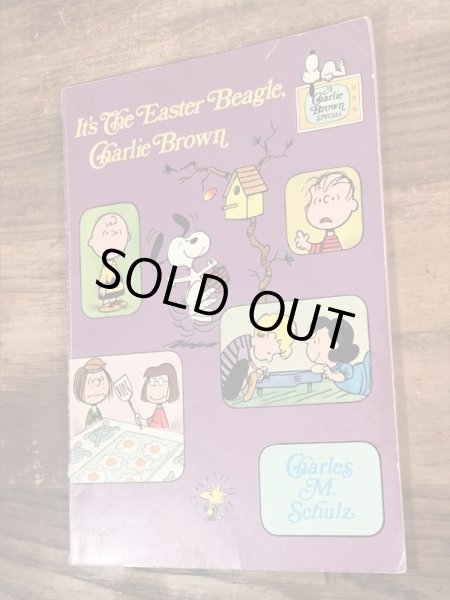 70’sのスヌーピーとピーナッツギャングのヴィンテージのピクチャーブック