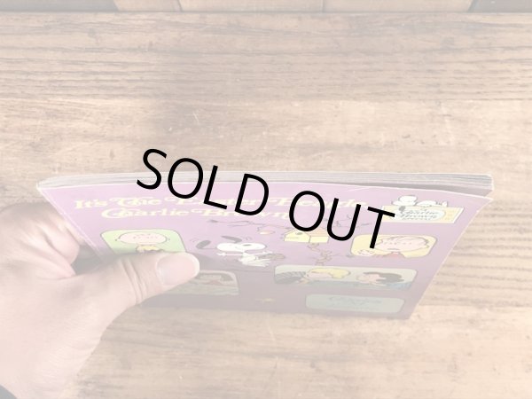 70’sのスヌーピーとピーナッツギャングのヴィンテージのピクチャーブック