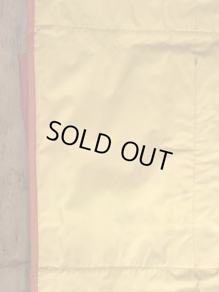 70年代頃のスヌーピーのビンテージのシューバッグ