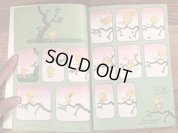 70’sのスヌーピーのヴィンテージのピクチャーブック