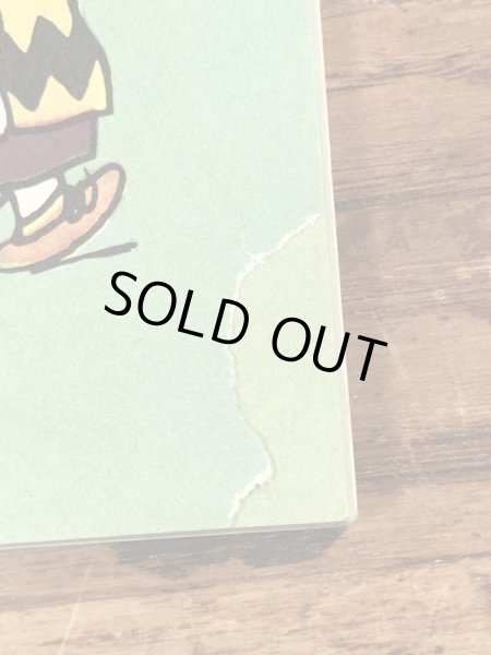 70’sのスヌーピーのヴィンテージのピクチャーブック