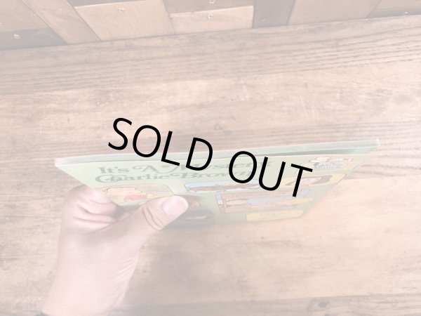 70’sのスヌーピーのヴィンテージのピクチャーブック