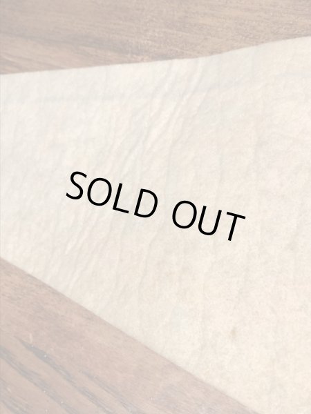 ファンタジーランドのミッキーマウスのヴィンテージの雑貨