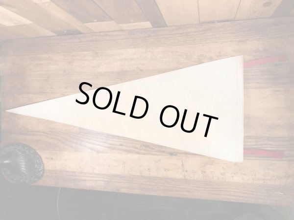 ファンタジーランドのミッキーマウスのヴィンテージの雑貨