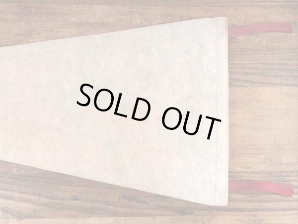 ファンタジーランドのミッキーマウスのヴィンテージの雑貨