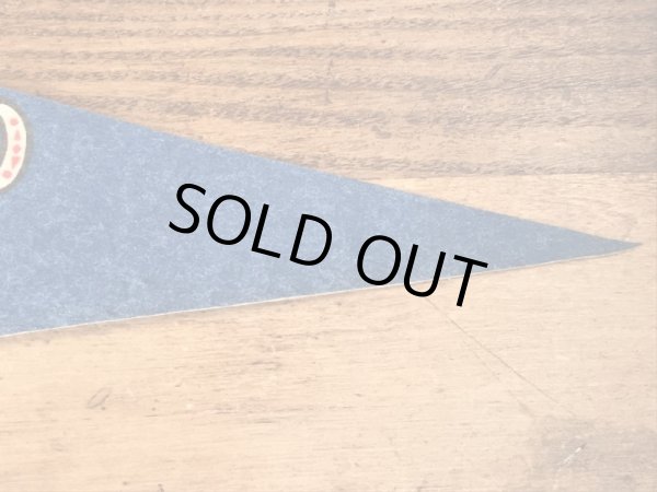 ファンタジーランドのミッキーマウスのヴィンテージの雑貨