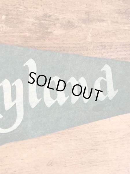 50年代頃のディズニーランドのヴィンテージのペナント