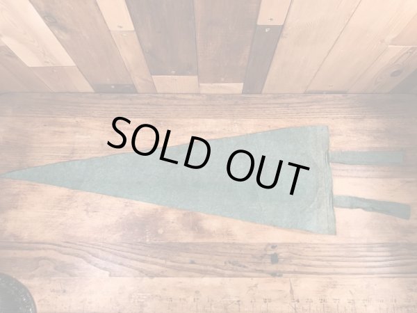 50年代頃のディズニーランドのヴィンテージのペナント