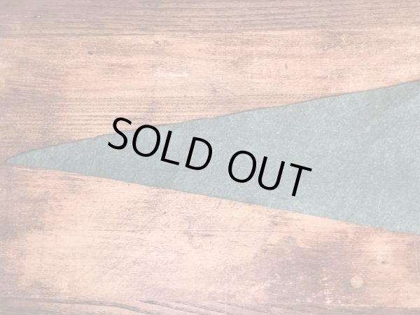 50年代頃のディズニーランドのヴィンテージのペナント