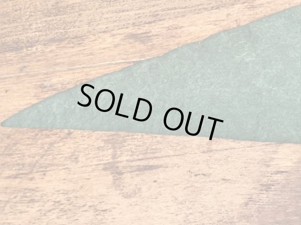 50年代頃のディズニーランドのヴィンテージのペナント