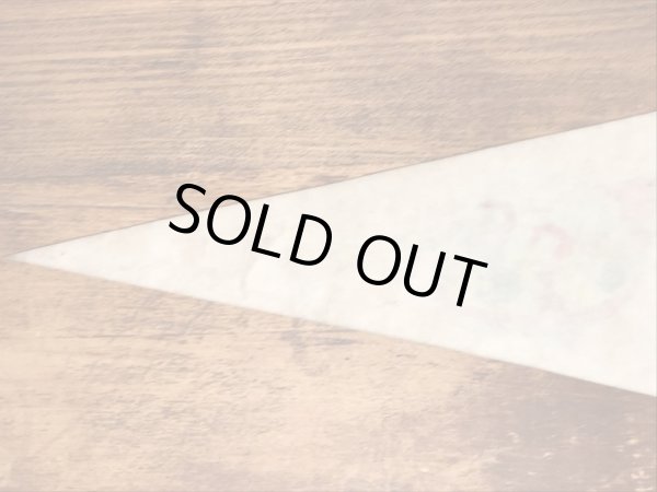 80年代のハンナバーベラのグレートアメリカのビンテージのペナント