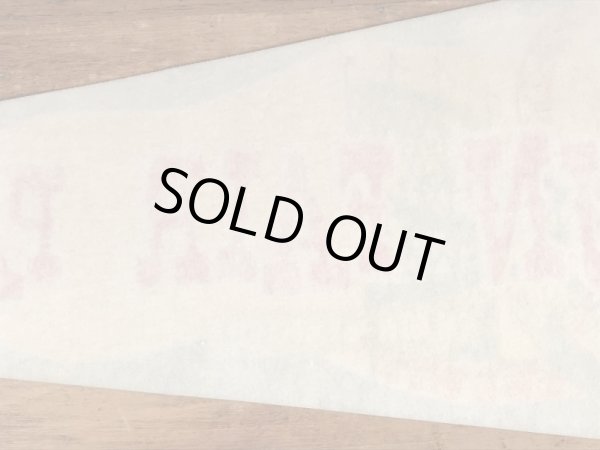 60年代のFun Fair Parkのビンテージのペナント