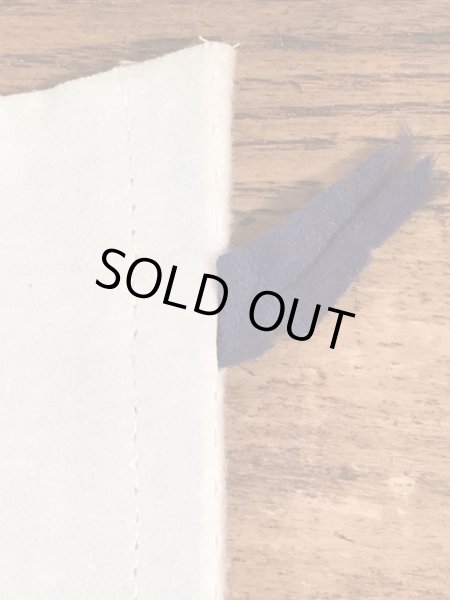 60年代のFun Fair Parkのビンテージのペナント