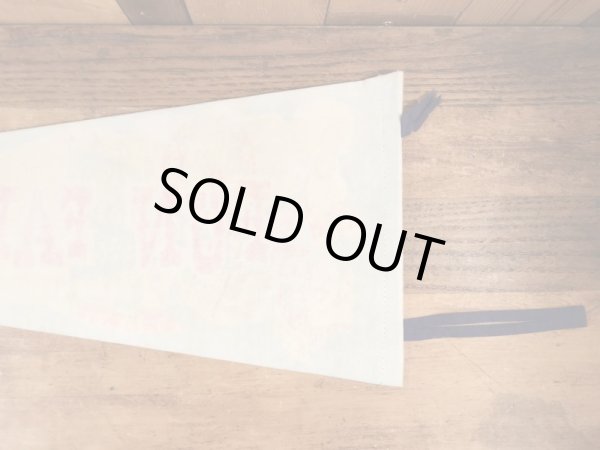 60年代のFun Fair Parkのビンテージのペナント