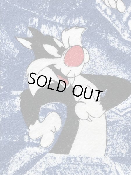 90年代~のルーニーテューンズのビンテージのブランケット