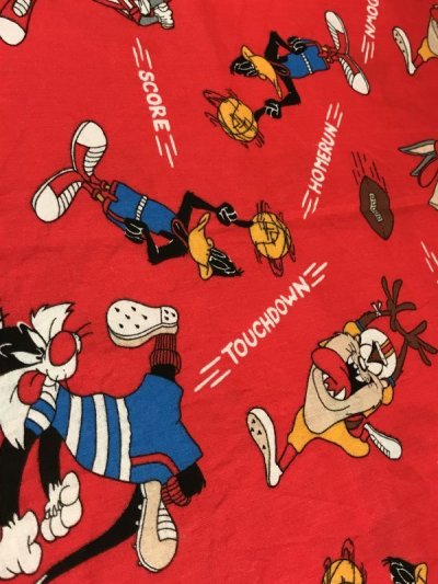 画像2: Warner Bros Looney Tunes Cloth　ルーニーテューンズ　ビンテージ　端切れ生地　ワーナーブラザーズ　2000年代~