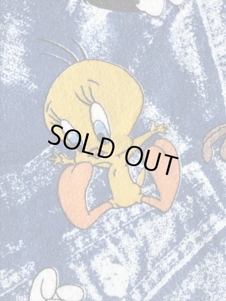 90年代~のルーニーテューンズのビンテージのブランケット