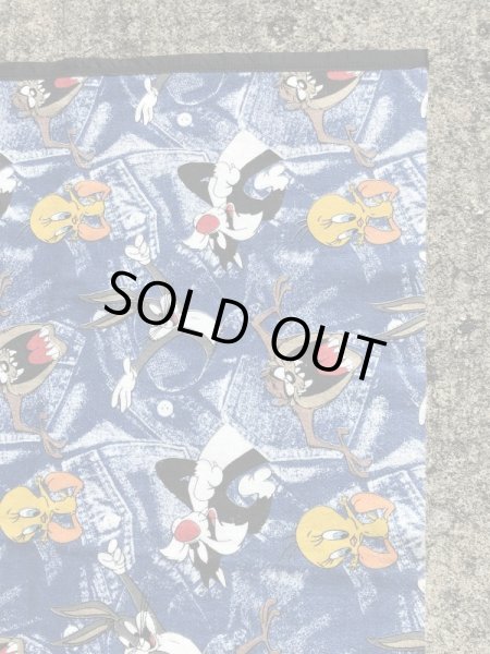 90年代~のルーニーテューンズのビンテージのブランケット