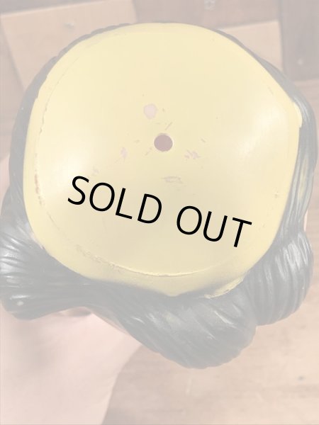 50年代のハンガーフォードのルーシーのビンテージのラバードール