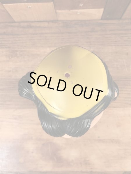 50年代のハンガーフォードのルーシーのビンテージのラバードール