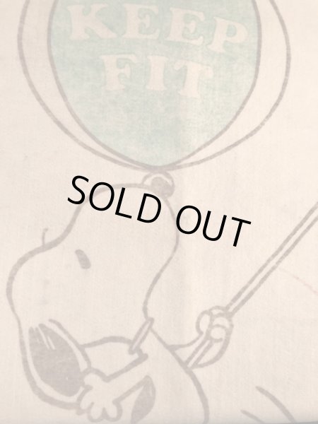 70年代のスヌーピーのビンテージのブランケット