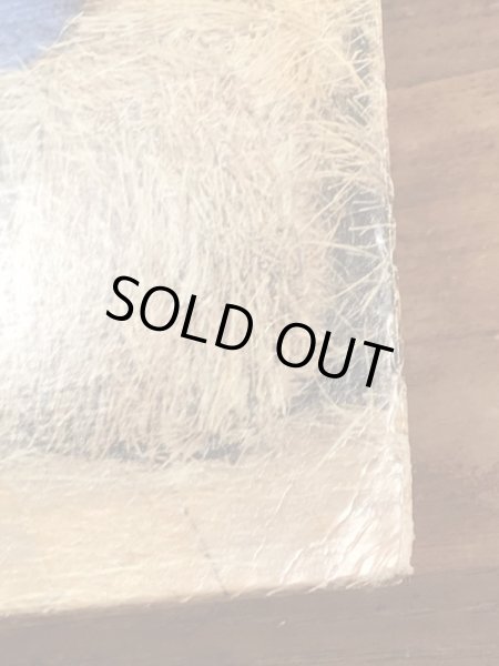 80年代のセサミストリートのビンテージのレコード