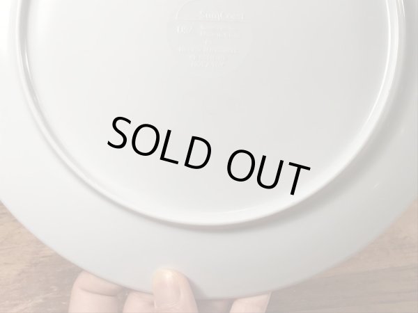 マクドナルドのビンテージのプラスチックプレート