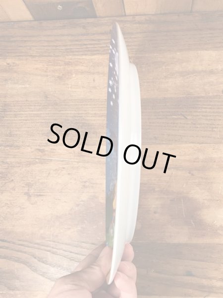 マクドナルドのビンテージのプラスチックプレート