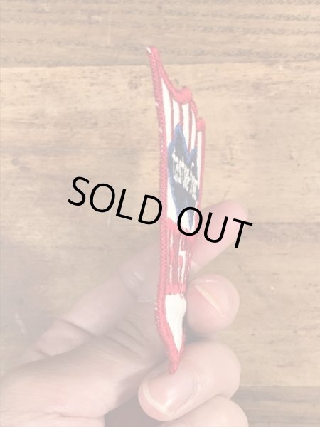 70年代のテイスティフリーズのビンテージのワッペン