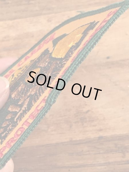 企業キャラクターのスモーキーベアのヴィンテージの雑貨