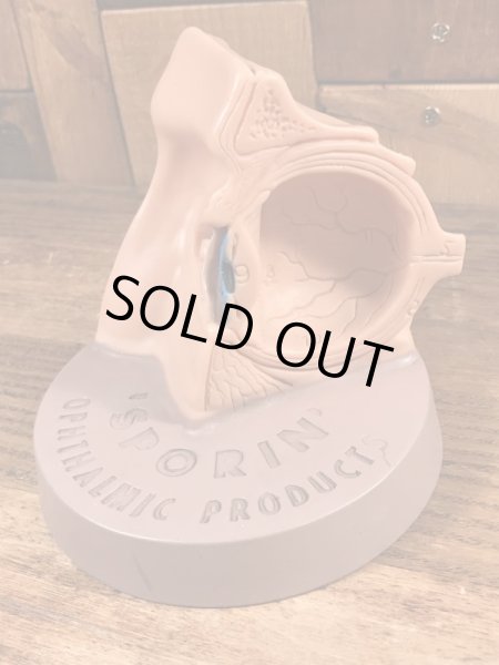 スポリン　ビンテージ　医療用ディスプレイ　人体模型　60~70’s