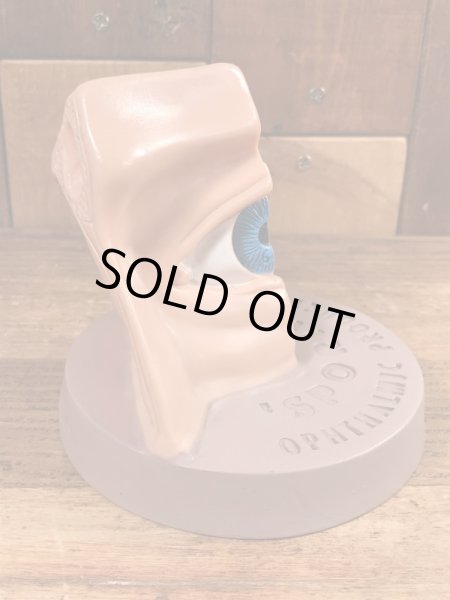 スポリン　ヴィンテージ　医療用模型　アナトミー　60~70年代