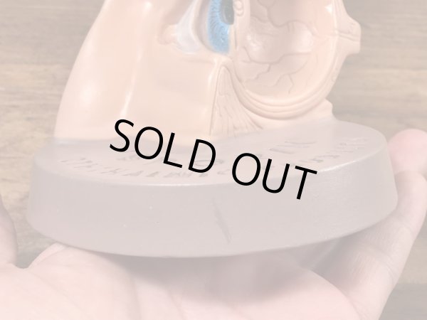 スポリン　ビンテージ　医療用ディスプレイ　人体模型　60~70’s