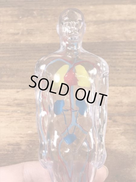 メルクアンドカンパニー ビンテージ ディスプレイフィギュア 企業キャラクター 人体模型 60年代