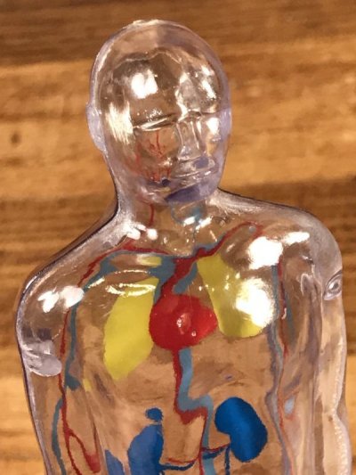画像1: Merck & Co. “Diuril” Chlorothiazide Display Figure メルクアンドカンパニー ビンテージ ディスプレイフィギュア 企業物 60年代