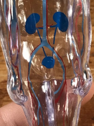 画像2: Merck & Co. “Diuril” Chlorothiazide Display Figure メルクアンドカンパニー ビンテージ ディスプレイフィギュア 企業物 60年代