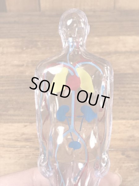 メルクアンドカンパニー ビンテージ ディスプレイフィギュア 企業キャラクター 人体模型 60年代